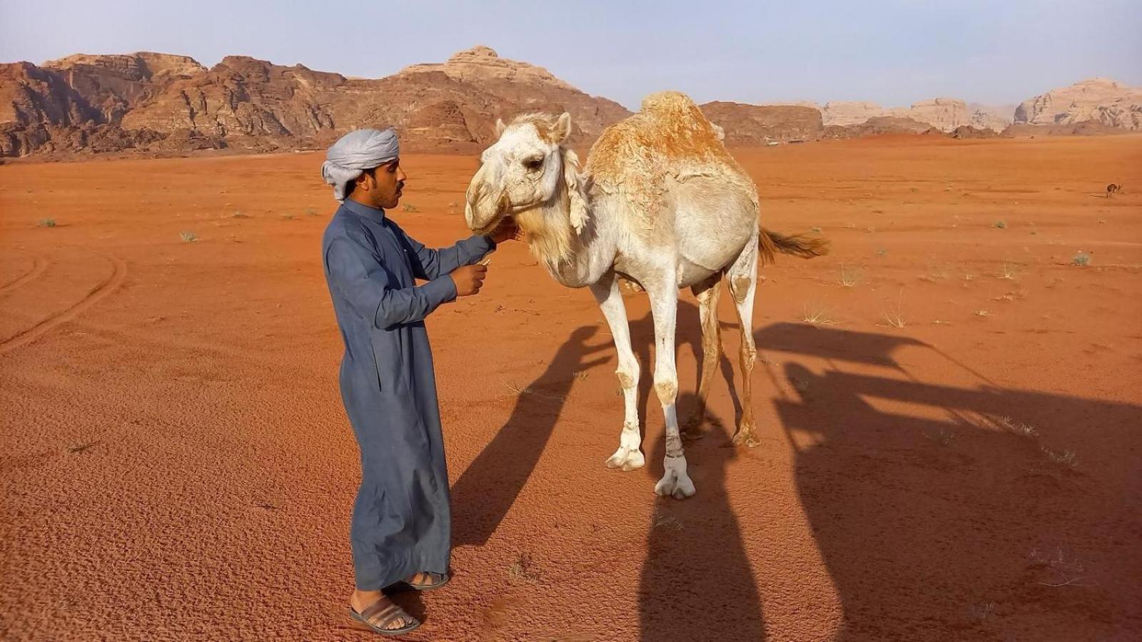 Wadi Rum Natural Life Bagian luar foto